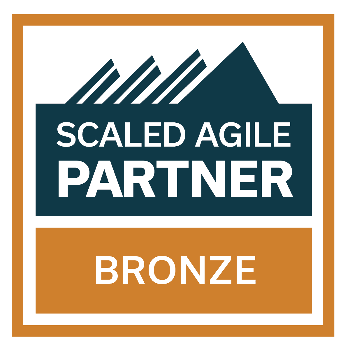 SAI Partner Badge Bronze